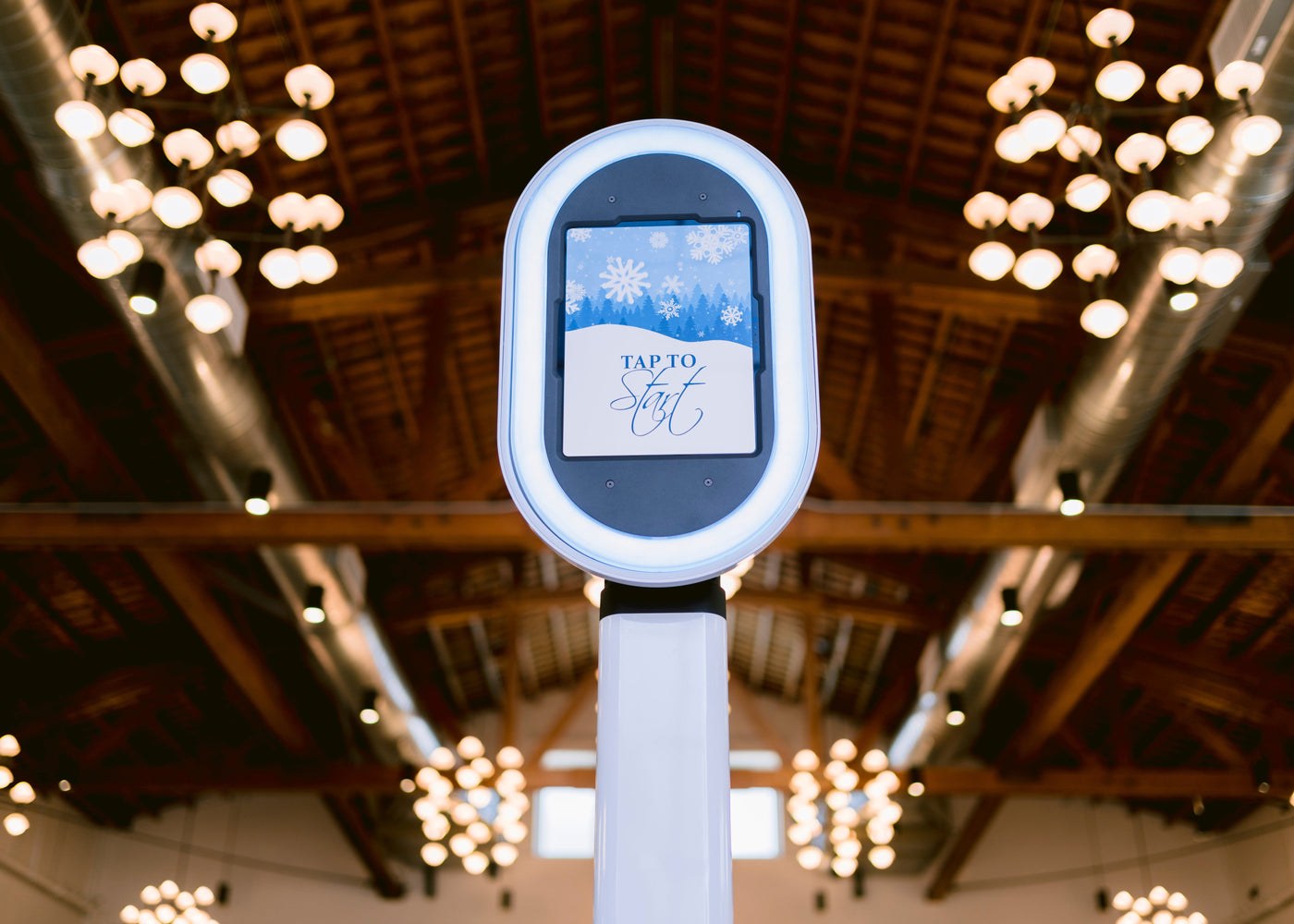 Holiday Pro Media Bundle