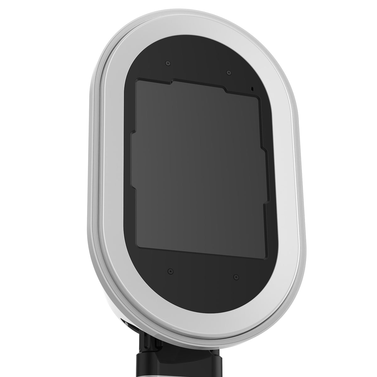 salsa 2 iPad photo booth face